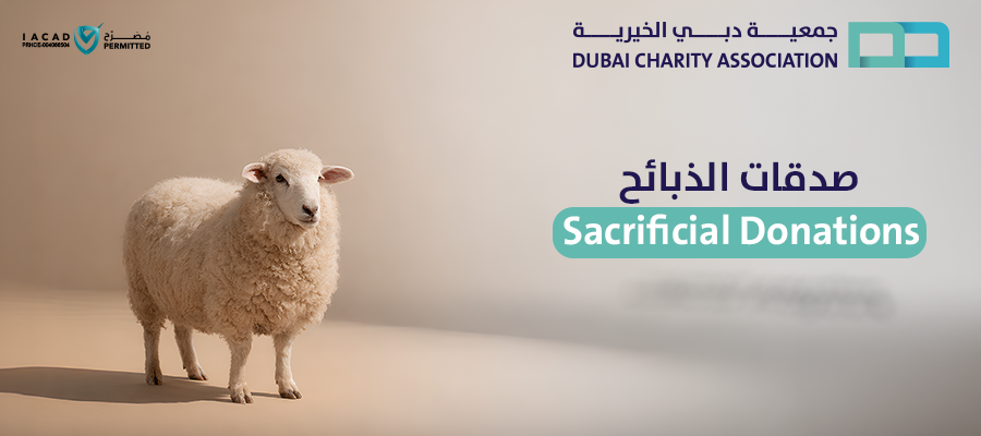 صدقات الذبائح - الغنم